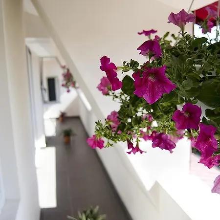 特兰兹提酒店 布加勒斯特