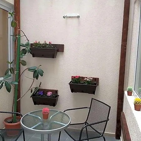 Hotel Tranzzit