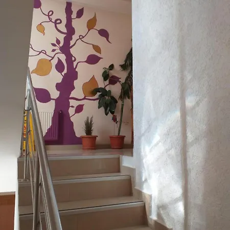 Tranzzit Hotel