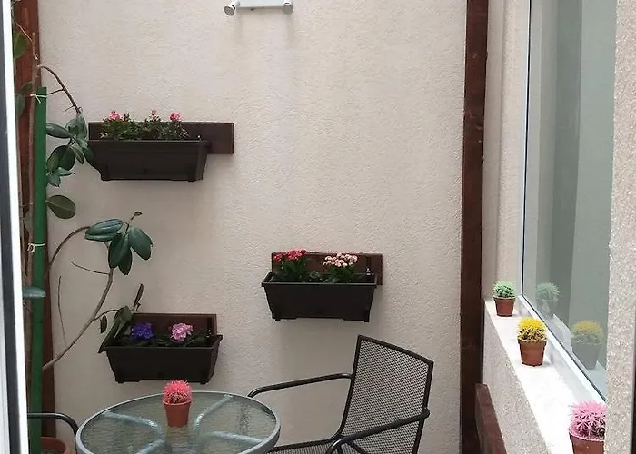 Tranzzit 3* 부쿠레슈티