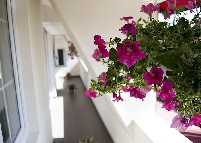 Tranzzit 부쿠레슈티