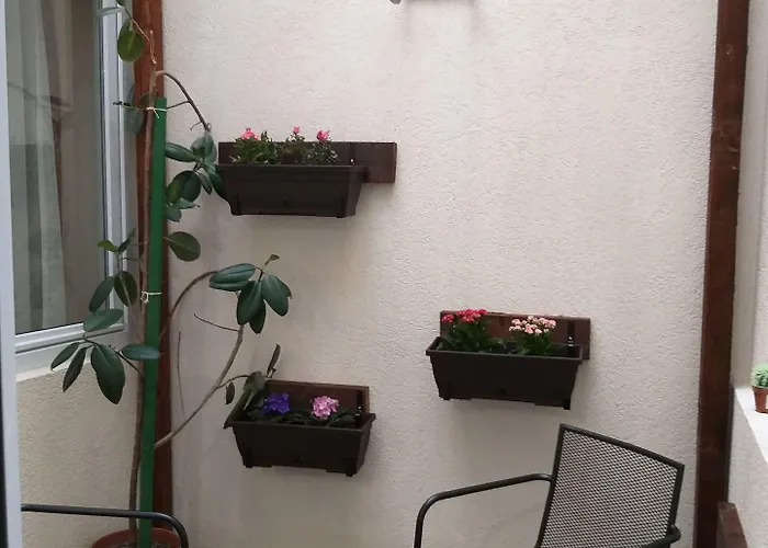 特兰兹提酒店 酒店 3*