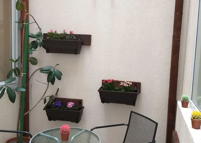 特兰兹提酒店 酒店 布加勒斯特