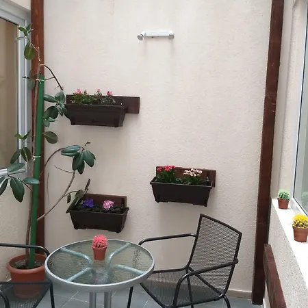 Tranzzit Hotell Bukarest